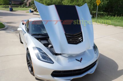 Silver C7 Stingray with carbon flash black and red ME stinger stripe