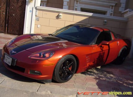 DSOM C6 Corvette with black and silver ME stripe