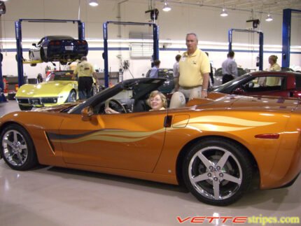 atomic orange C6 Corvette side stripe graphic in light gold and gunmetal