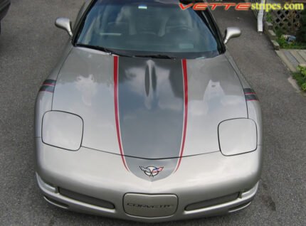 Pewter C5 Corvette coupe with medium charcoal and red ME stripe