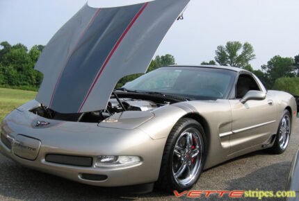 Pewter C5 Corvette with medium charcoal and red ME stripe