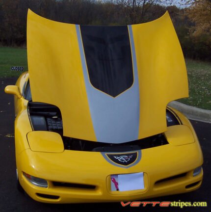 Yellow C5 Corvette with black and silver GT1 stripe and optional printed jake skull