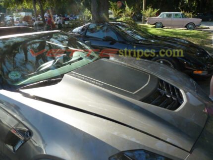 Shark grey c7 corvette z06 with carbon fiber stinger stripes